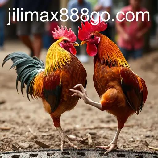Ultimate Guide to Sabong Games with a Spotlight on Jilimax888